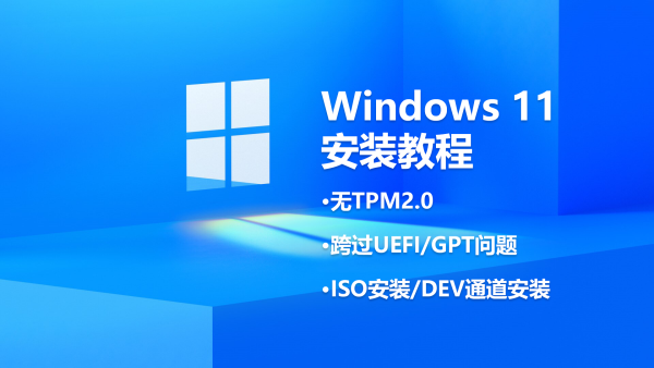在多个场景下安装Windows 11教程|包括有无TPM2，UEFI、GPT问题，ISO和DEV通道安装方式